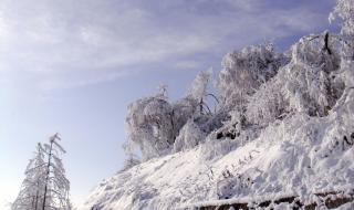 西岭雪山旅游